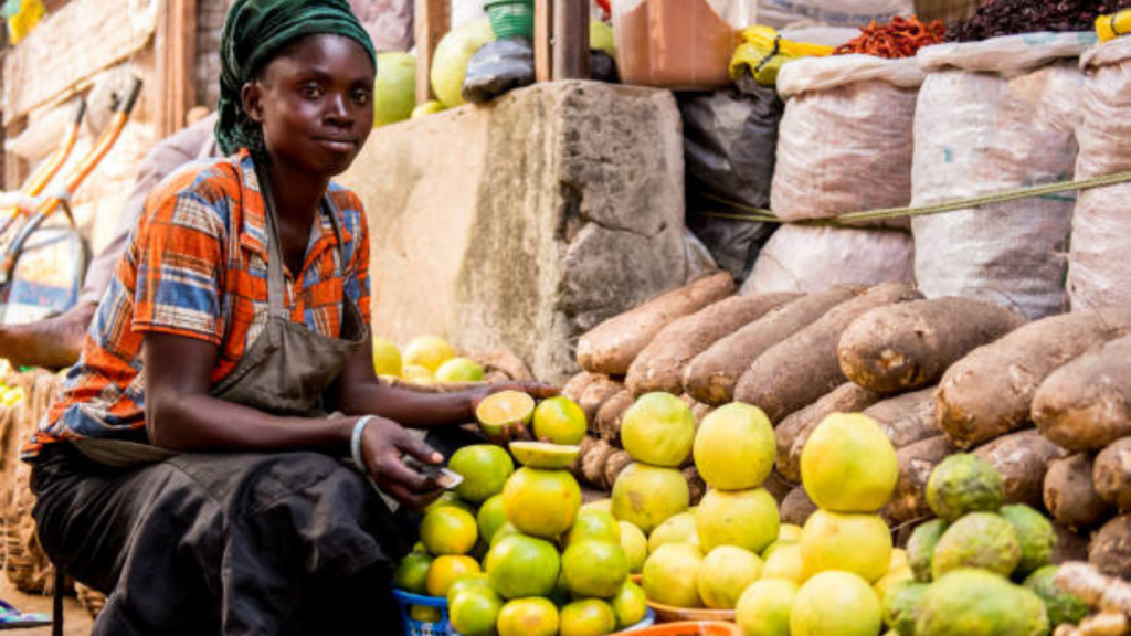 Droppic vs Other Nigerian Business Directories: What Makes It Better?